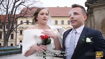 Premium Compilation Of Czech Beauties In Action